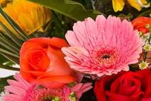 Testing Ticket 5025 image